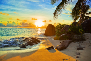 A beach with palm trees and the sun setting.